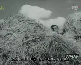 《农人日记》：田园诗画中的生命赞歌，治愈你的心灵