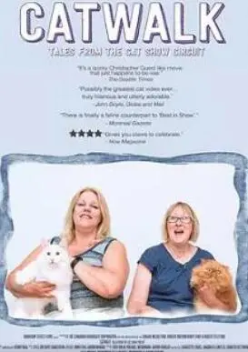 《猫步》揭秘：全球猫展巡回演出的幕后故事与魅力