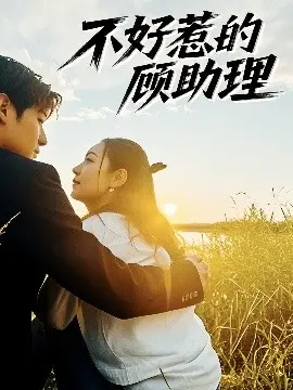 《不好惹的顾助理》：职场女王的甜蜜陷阱，谁能逃脱她的魅力？