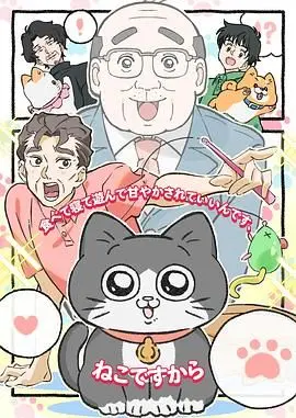 《转生成猫的大叔》：爆笑又暖心！当硬汉大叔变成喵星人，开启意想不到的铲屎官生活！