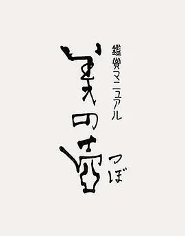 《美之壶》：探索隐藏在日常中的艺术，感受日本匠人精神的极致之美