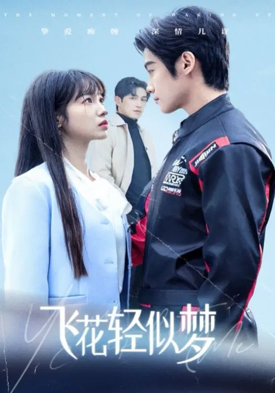 《飞花轻似梦》：爱与责任交织的温情诗篇，在平凡生活中绽放闪光点